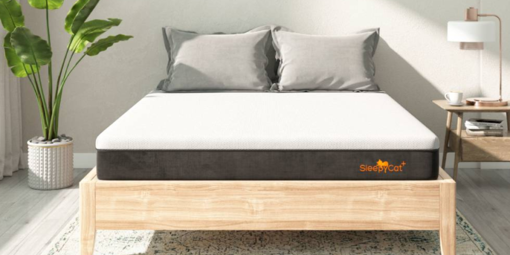 11 Best Mattress For Back Pain In India 2022 3