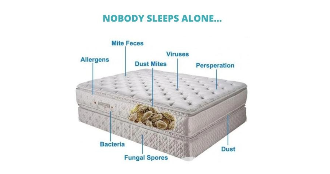 mattress allergies