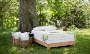 Organic mattress